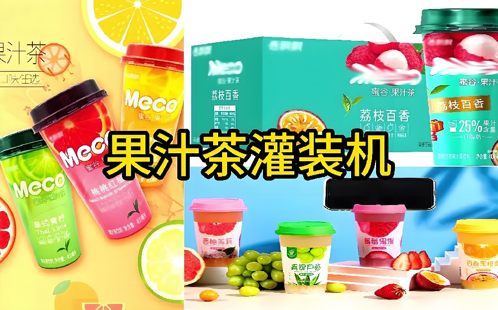 龙应果汁饮料生产线