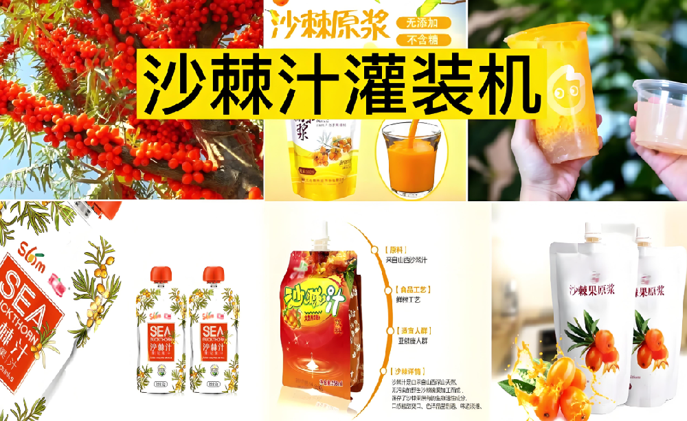 龙应沙棘饮料自立袋充填旋盖机
